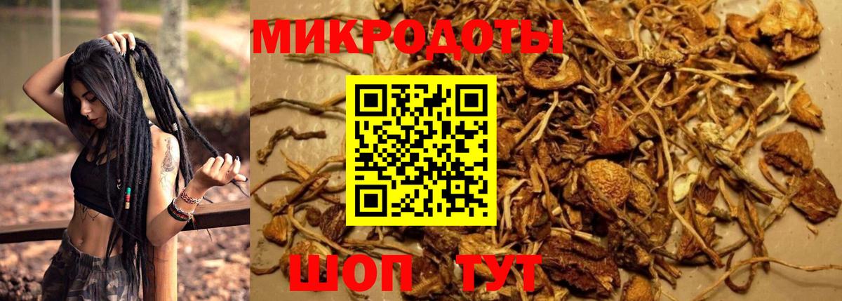 Алапаевск  Галлюциногенные грибы прущие грибы  Вход с VPN 